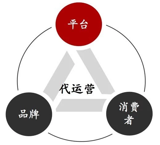 電商代運(yùn)營(yíng)