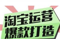 單品運營計劃(新建一個計劃完成直通車單品推廣)